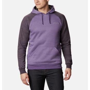 Columbia Muške Majice S Kapuljačom - Hart Mountain II Fleece Ljubičaste | ELGD-36490